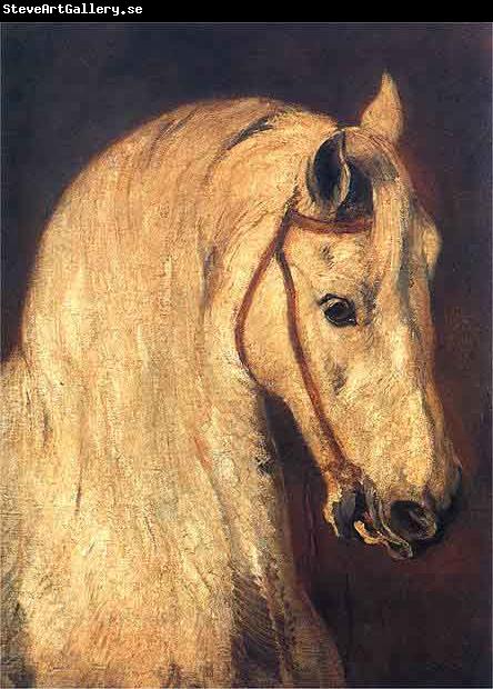 Piotr Michalowski Studium of Horse Head